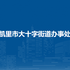 凱里市大十字街道辦事處?黨務政務服務中心（退役軍人服務站）