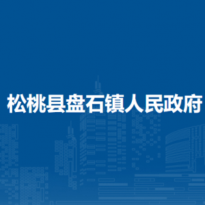 松桃縣盤石鎮(zhèn)?黨務(wù)政務(wù)服務(wù)中心