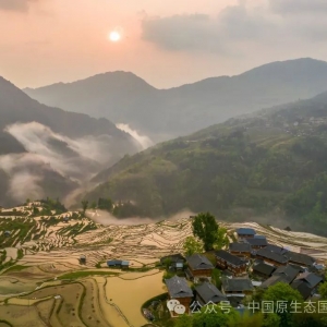 數(shù)字化電子發(fā)票全流程系統(tǒng)操作指南