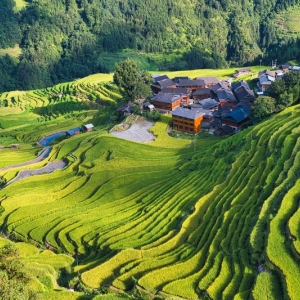 從江縣各鄉(xiāng)鎮(zhèn)政府（街道辦事處）工作時間和聯(lián)系電話