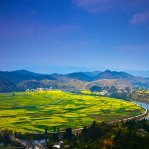 貴定縣政府各職能部門地址工作時(shí)間和聯(lián)系電話