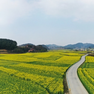 獨山縣各鄉(xiāng)鎮(zhèn)政府街道辦事處工作時間和聯(lián)系電話