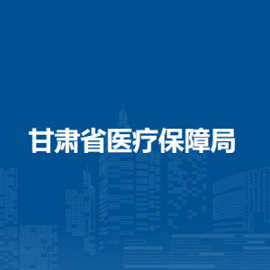 甘肅省醫(yī)療保障服務(wù)中心