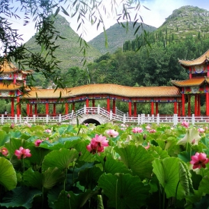 安龍縣各鄉(xiāng)鎮(zhèn)政府街道辦事處工作時間和聯(lián)系電話