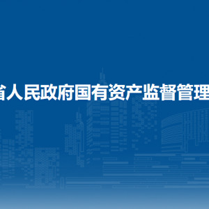 甘肅省國有資產(chǎn)監(jiān)督管理委員會財務(wù)監(jiān)督處