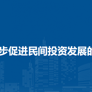 關(guān)于進(jìn)一步促進(jìn)民間投資發(fā)展的若干措施（全文）