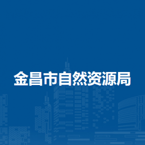 金昌市自然資源局國土空間規(guī)劃編審科（市規(guī)劃委員會辦公室）
