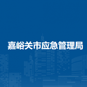 嘉峪關(guān)市應(yīng)急管理局風(fēng)險(xiǎn)監(jiān)測(cè)和減災(zāi)救災(zāi)科