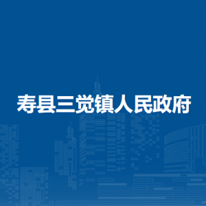 壽縣三覺(jué)鎮(zhèn)為民服務(wù)中心（退役軍人服務(wù)站）