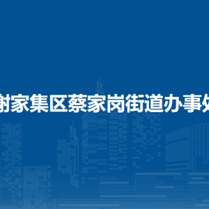 淮南市謝家集區(qū)蔡家崗街道為民服務(wù)中心