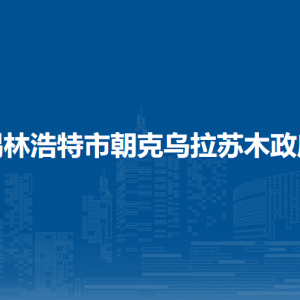錫林浩特市朝克烏拉蘇木黨群服務(wù)中心