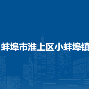 蚌埠市淮上區(qū)小蚌埠鎮(zhèn)為民服務(wù)中心