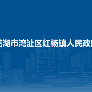 蕪湖市灣沚區(qū)紅楊鎮(zhèn)綜合行政執(zhí)法大隊(duì)