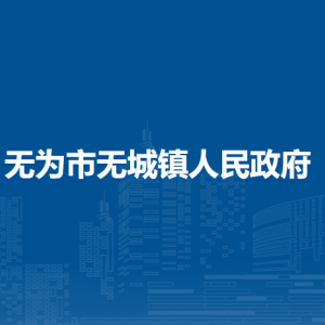 無為市無城鎮(zhèn)綜合行政執(zhí)法大隊