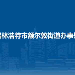 錫林浩特市額爾敦街道辦事處黨群服務(wù)中心