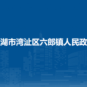蕪湖市灣沚區(qū)六郎鎮(zhèn)綜合行政執(zhí)法大隊