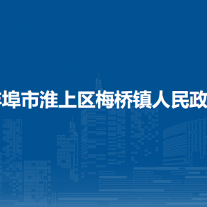 蚌埠市淮上區(qū)梅橋鎮(zhèn)政府黨政綜合辦公室