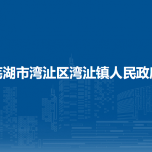 蕪湖市灣沚區(qū)灣沚鎮(zhèn)便民服務(wù)中心