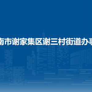 淮南市謝家集區(qū)謝三村街道司法所