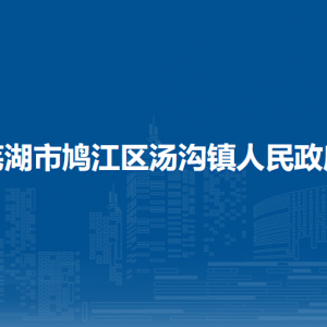 蕪湖市鳩江區(qū)湯溝鎮(zhèn)衛(wèi)生健康辦公室