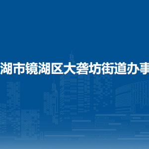 蕪湖市鏡湖區(qū)大礱坊街道辦事處綜合行政執(zhí)法大隊