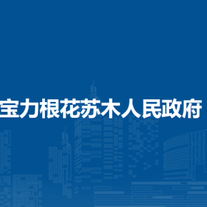 扎賚特旗寶力根花蘇木?黨群服務(wù)中心工作時(shí)間和聯(lián)系電話