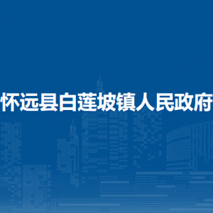 懷遠(yuǎn)縣白蓮坡鎮(zhèn)綜合執(zhí)法隊