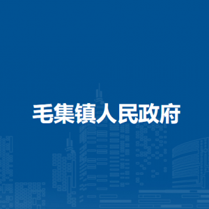 毛集鎮(zhèn)為民服務(wù)中心(退役軍人服務(wù)站)