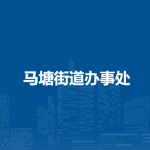 蕪湖市弋江區(qū)馬塘街道為民服務中心