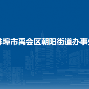 蚌埠市禹會區(qū)朝陽街道辦事處黨群服務(wù)中心