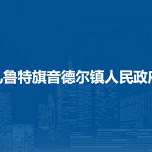 扎賚特旗音德爾鎮(zhèn)人民政府?黨群服務(wù)中心