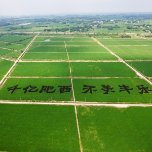 肥西縣豐樂鎮(zhèn)各村（社區(qū)）職責及聯(lián)系電話