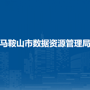 馬鞍山市數(shù)據(jù)資源管理局（市政務(wù)服務(wù)管理局）數(shù)字政府建設(shè)科