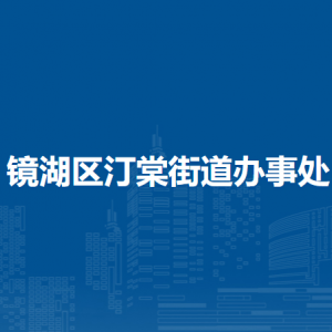 蕪湖市鏡湖區(qū)汀棠街道綜合行政執(zhí)法大隊(duì)