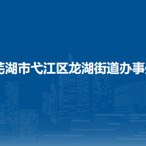 蕪湖市弋江區(qū)龍湖街道綜合行政執(zhí)法大隊