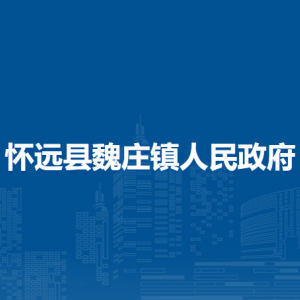 懷遠(yuǎn)縣魏莊鎮(zhèn)綜合執(zhí)法隊(duì)