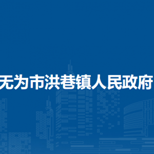無為市洪巷鎮(zhèn)便民服務(wù)中心（退役軍人服務(wù)中心）