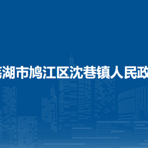 蕪湖市鳩江區(qū)沈巷鎮(zhèn)民政辦