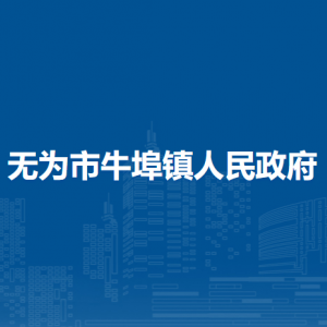 無為市牛埠鎮(zhèn)綜合行政執(zhí)法大隊