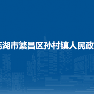 蕪湖市繁昌區(qū)孫村鎮(zhèn)便民服務(wù)中心