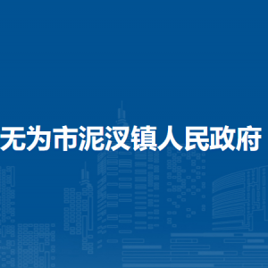 無為市泥汊鎮(zhèn)便民服務(wù)中心（退役軍人服務(wù)中心）