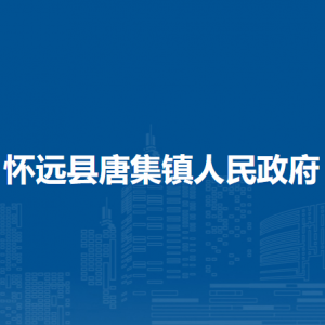 懷遠(yuǎn)縣唐集鎮(zhèn)為民服務(wù)中心