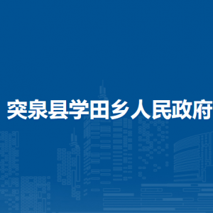 突泉縣學(xué)田鄉(xiāng)綜合行政執(zhí)法局