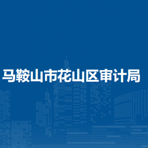 馬鞍山市花山區(qū)審計局辦公室
