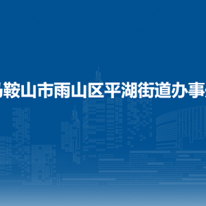 馬鞍山市雨山區(qū)平湖街道黨建工作辦公室