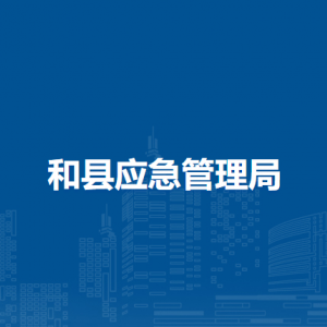 和縣應(yīng)急管理局辦公室