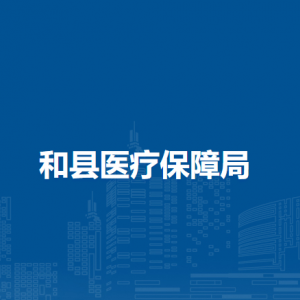 和縣醫(yī)療保障服務(wù)中心