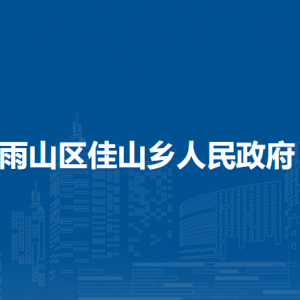 馬鞍山市雨山區(qū)佳山鄉(xiāng)政府應(yīng)急（生態(tài)）辦