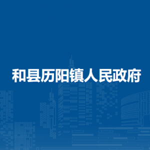 和縣歷陽鎮(zhèn)便民服務(wù)中心（退役軍人服務(wù)站）