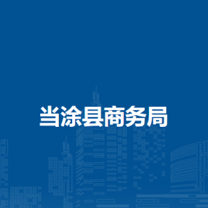 當(dāng)涂縣電子商務(wù)發(fā)展服務(wù)中心